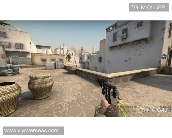 CSGO战术解析：深入探讨WE战队的防守与反击策略