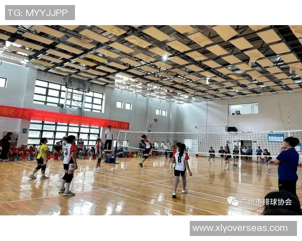 广州排球队在排球比赛经验排行榜中荣获第四名的辉煌成就