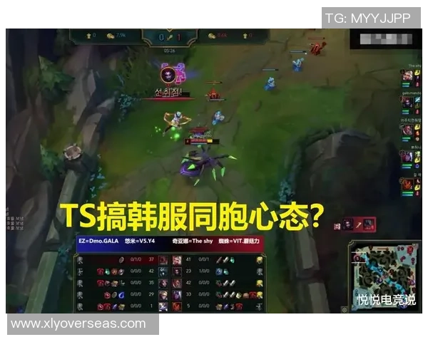 武汉滑板队的控制打法深度分析与战术解析