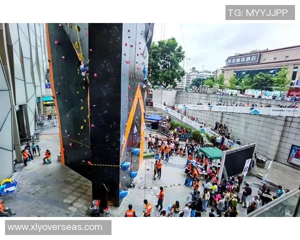 成都攀岩队灵活性创新高引领全国攀岩运动新潮流